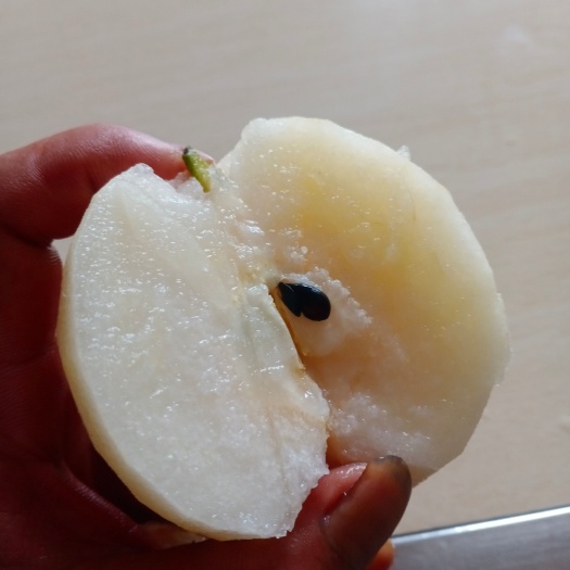 汝城县郴州高海拔脆甜水晶梨