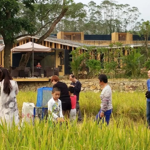 长沙规划设计，建筑设计，园林景观设计，