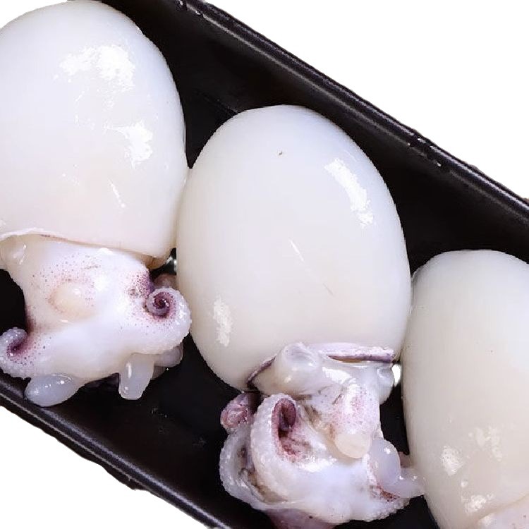 新鲜小墨鱼仔冷冻海鲜水产海捕小乌贼章鱼仔花枝墨速冻去内脏商用