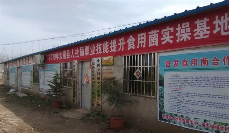河南太康奮發(fā)菌業(yè)