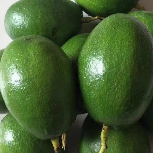 凭祥市广西牛油果牛油果鲜果孕妇小孩辅食
