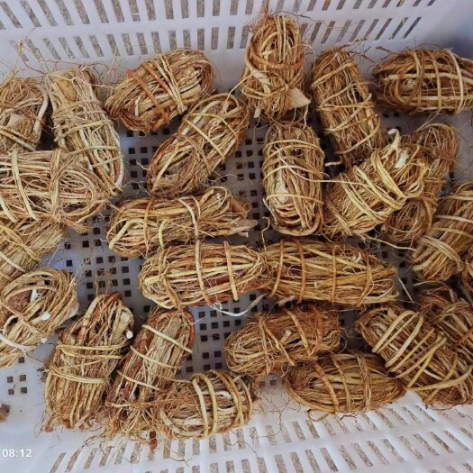 玉林无硫包心小扎五指毛桃