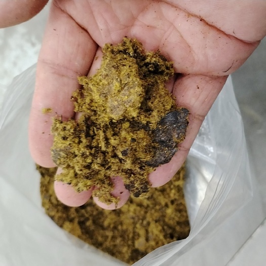 正定县优质棉饼