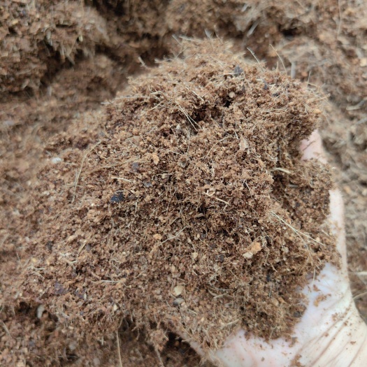 文昌市椰糠装车实拍:透气透水保湿保肥改良土壤板结，有机肥基质好材料