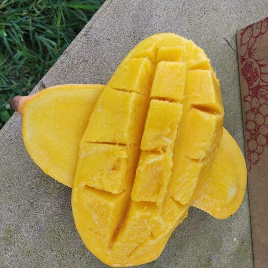 景东县景东晚熟芒果