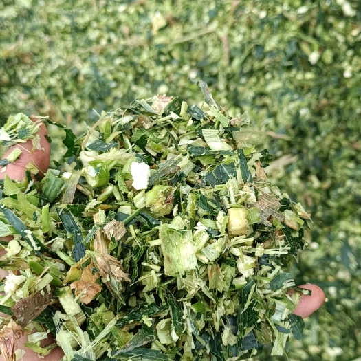 南雄市玉米秸秆青储草料