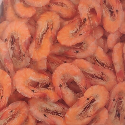 滨州淡干烤虾，新货源，口感香，鲜，美，肉质厚，适合小孩们当零食吃