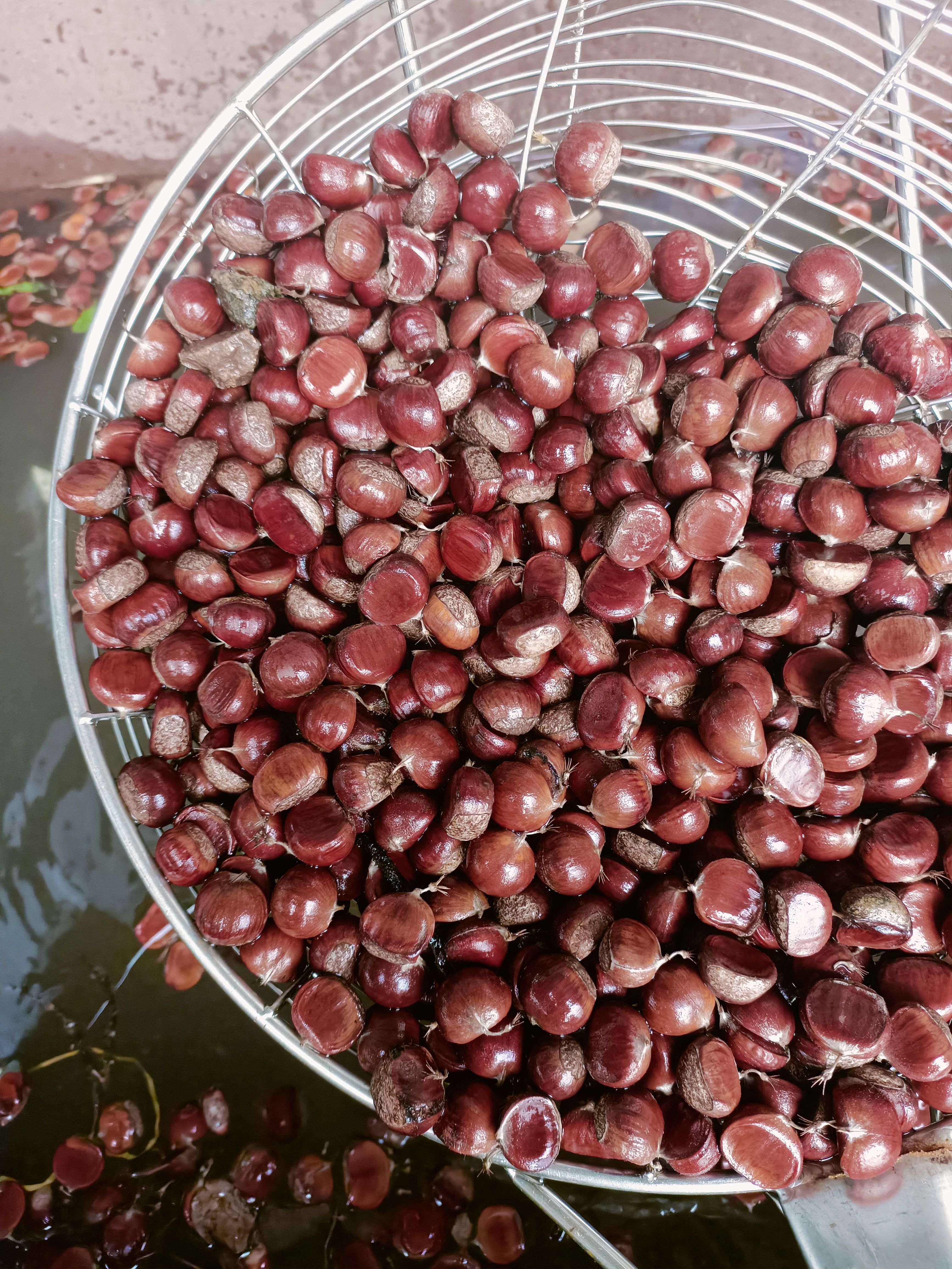 迁西县迁西313小小粒