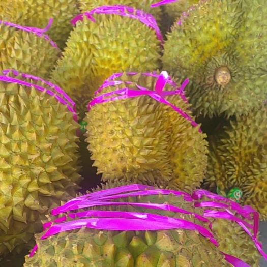 北京泰国金枕榴莲