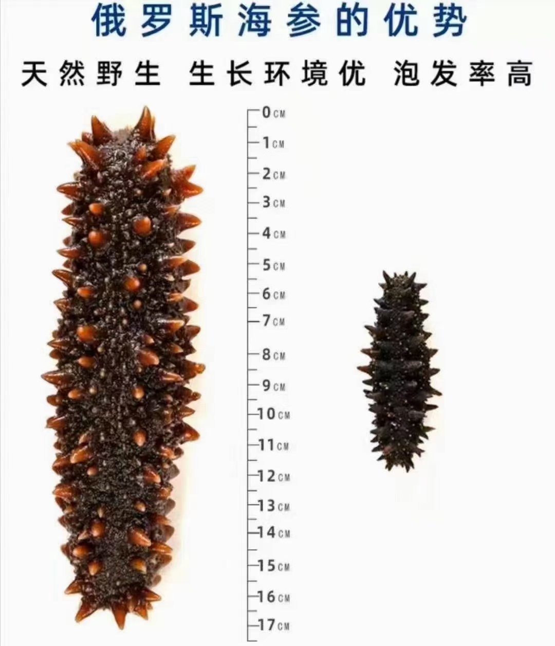 綏芬河市金沅經(jīng)貿(mào)有限公司