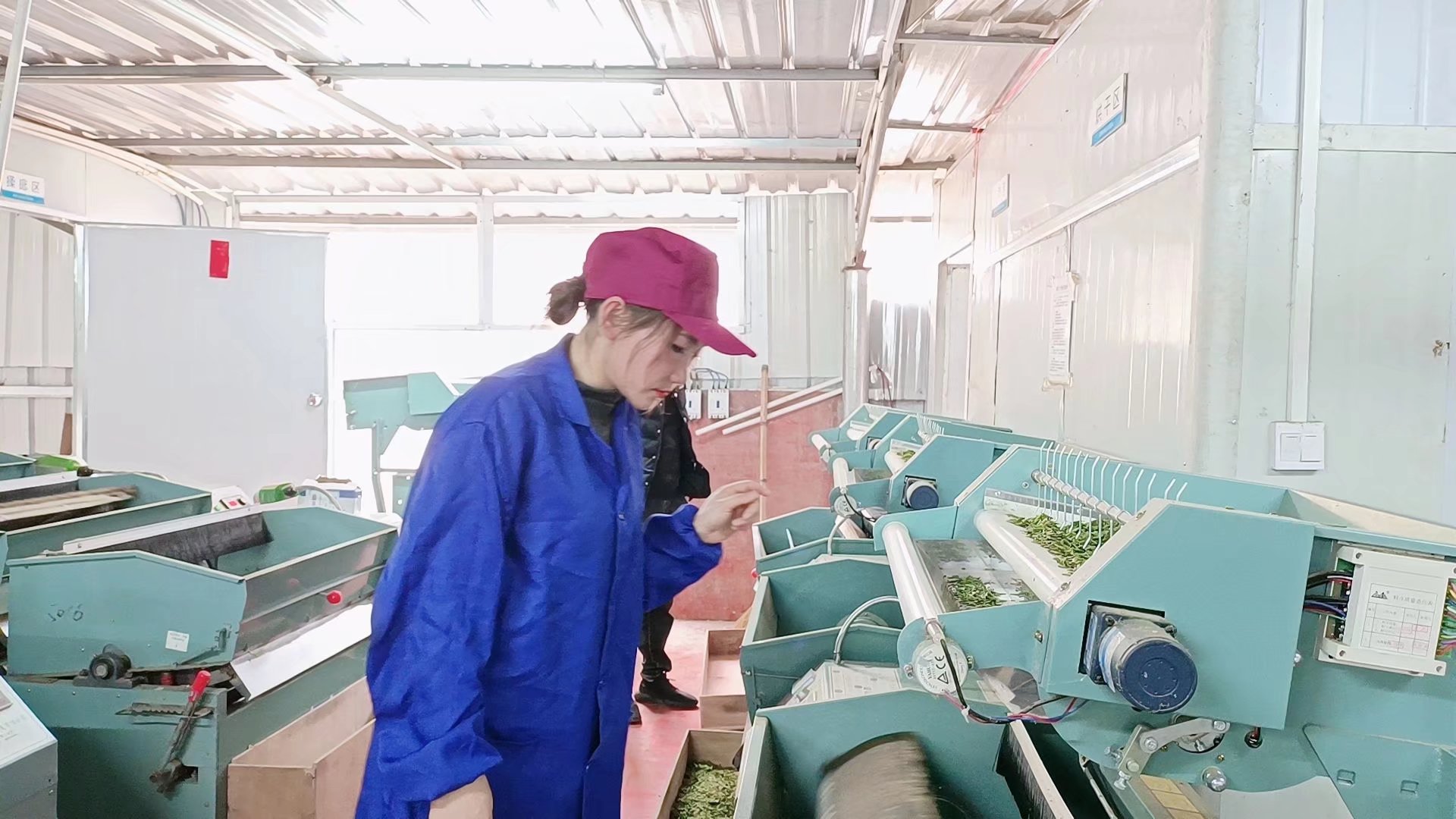 婄更侗茶