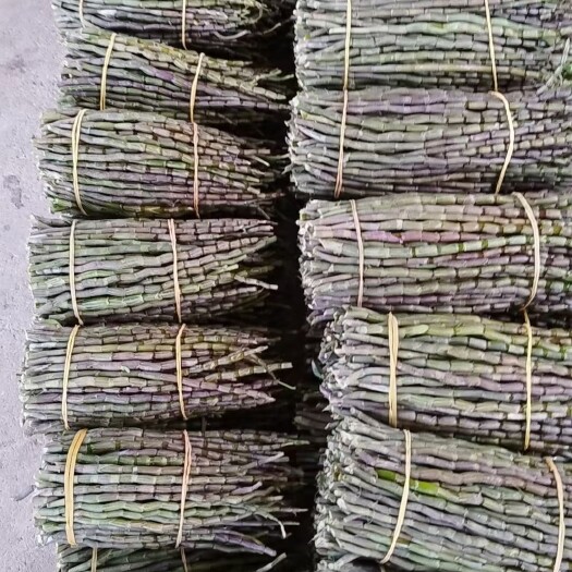 南宁基地铁皮石斛