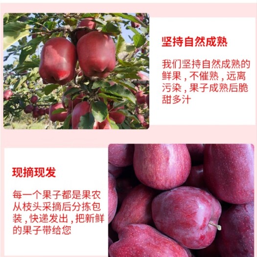 天水花牛苹果