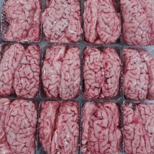 大厂县羊脑
