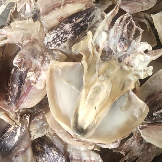 湛江硇洲深海自晒乌贼干盐淡足干大中号墨鱼干5-7条一斤海墨鱼干