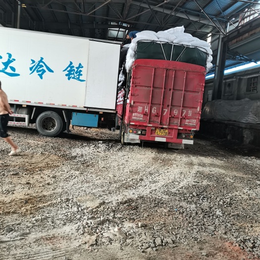优质优价棉籽壳面向重庆市各区、县发货