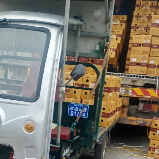 高碑店市泰国金枕，越南金枕干包黄肉一级品质，有售后服务