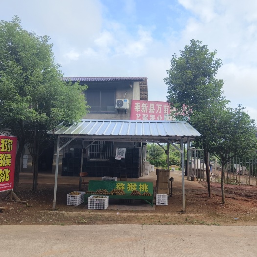 奉新縣奉新金艷獼猴桃（黃心）