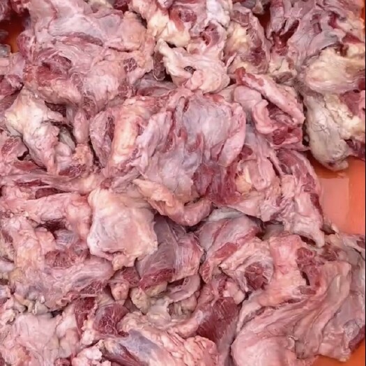 云浮每天生鲜牛筋腩，牛碎腩，品质靓出成率高