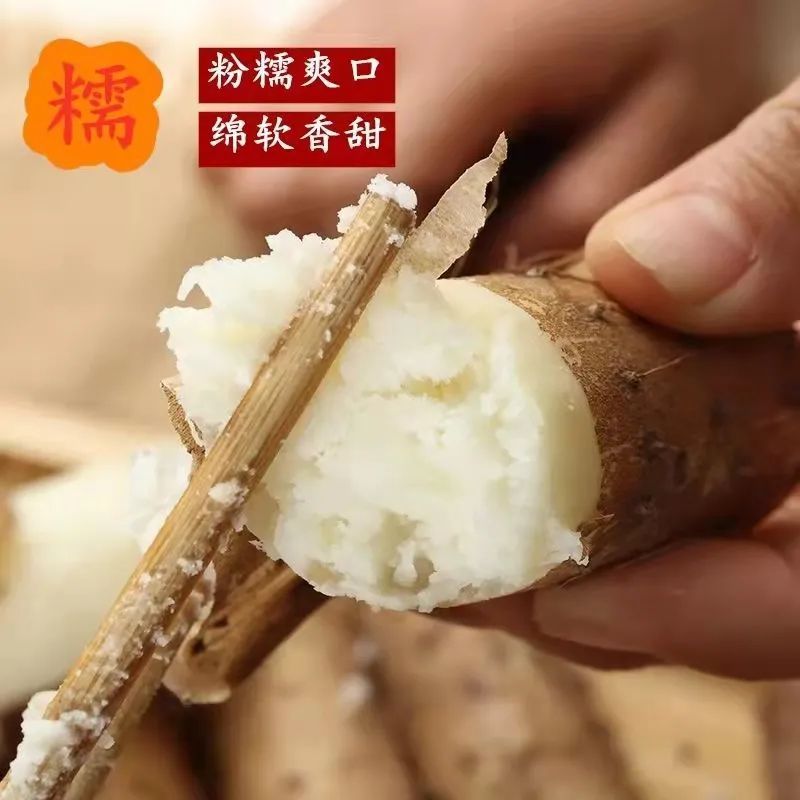 白山藥供應(yīng)鏈
