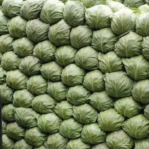 长沙好菜一排排想要你来