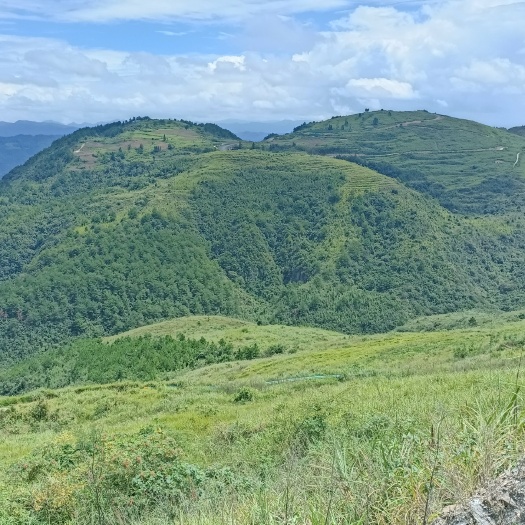 三都县荒地