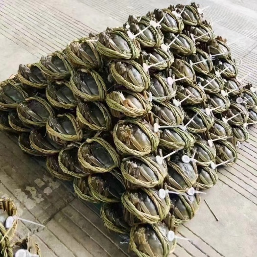 兴化市兴化精品大闸蟹 红膏蟹