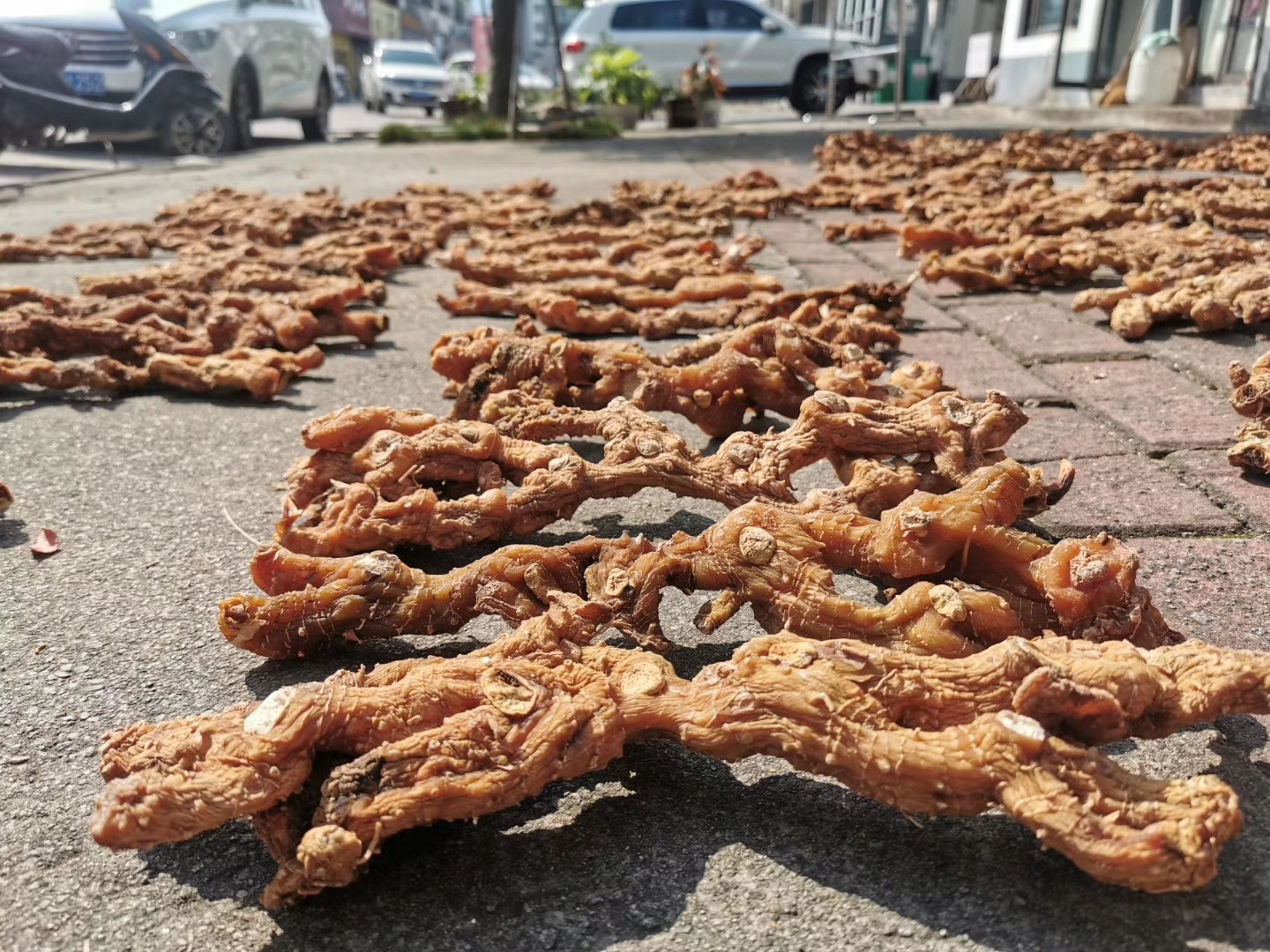 黃山特產(chǎn)匯