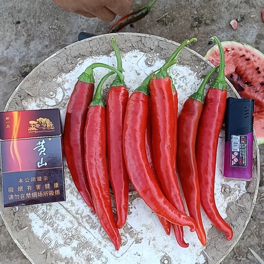 巴彦淖尔津红系列