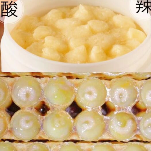 莱阳市纯蜂王浆