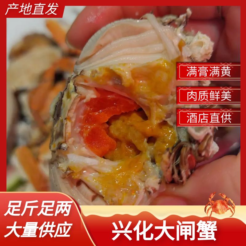 兴化市大闸蟹 残公 残母 九指公 九指母