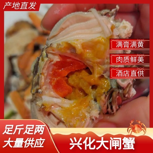 大闸蟹 残公 残母 九指公 九指母