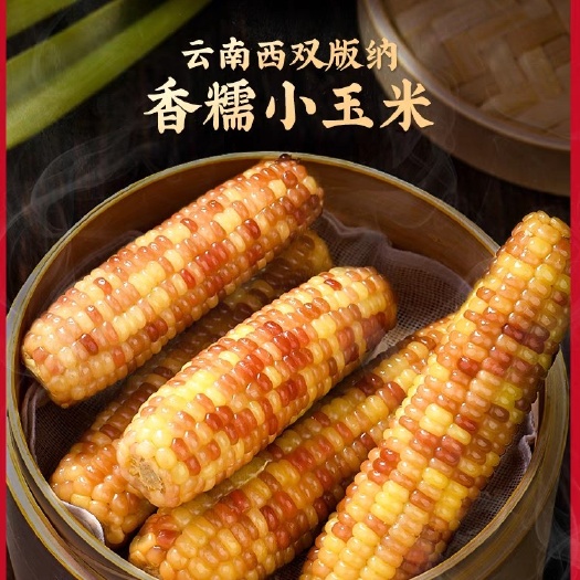 糯玉米  西双版纳香糯小玉米糯玉米包谷营养早餐即食代餐粗粮