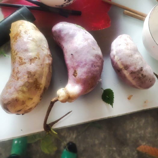 筠连县紫皮八月瓜成熟了有需要的联系我，鲜果期只有一个月
