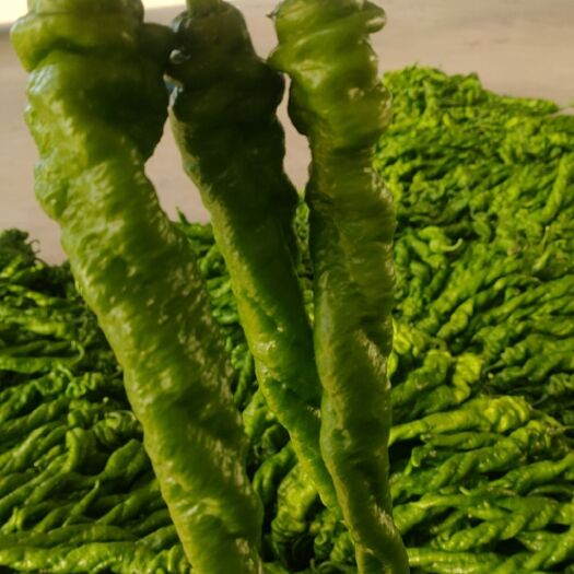 费县各种辣辣大量上市