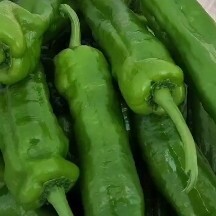 夏邑县鲜辣椒