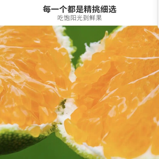 玉溪云南蜜桔特早熟新鲜水果应季当季无籽孕妇整箱装包邮