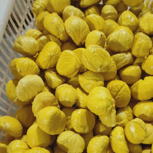 广州精品油栗油板栗肉加工厂直销