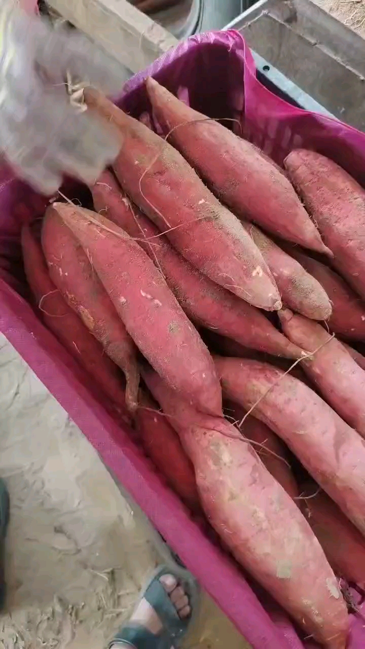 順達(dá)農(nóng)副產(chǎn)品基地