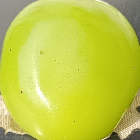 方城县精品阳光玫瑰，货源充足，颗粒口感棒棒的
