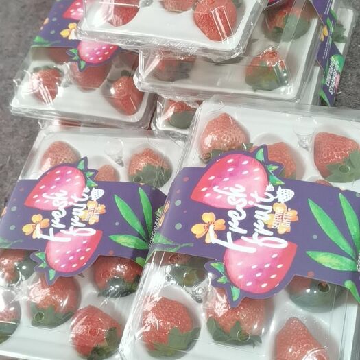 徐州徐州草莓