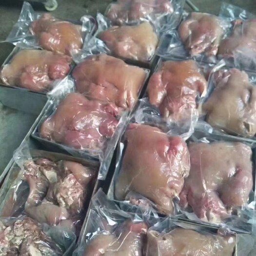 阳信县全熟牛头肉