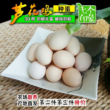 養(yǎng)殖技術(shù)支持