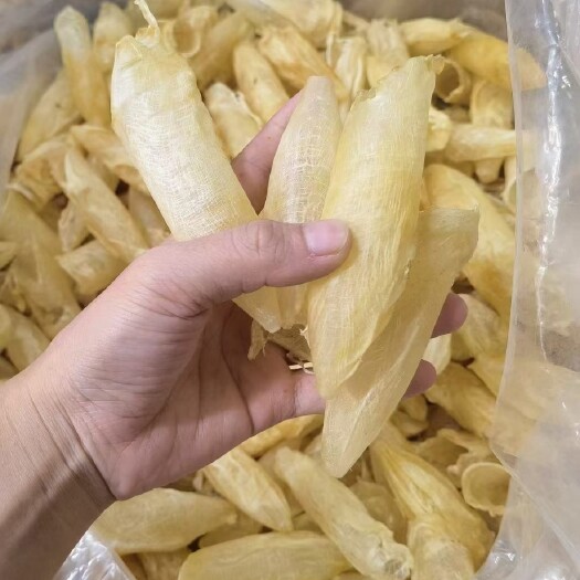 佛山墨西哥咸水黄花胶100头 天然花胶口感清爽炖后不粘腻一件代发