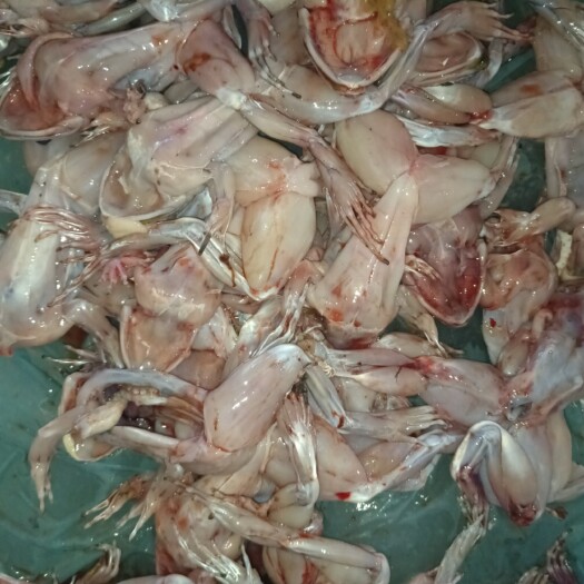 重庆市现杀牛蛙