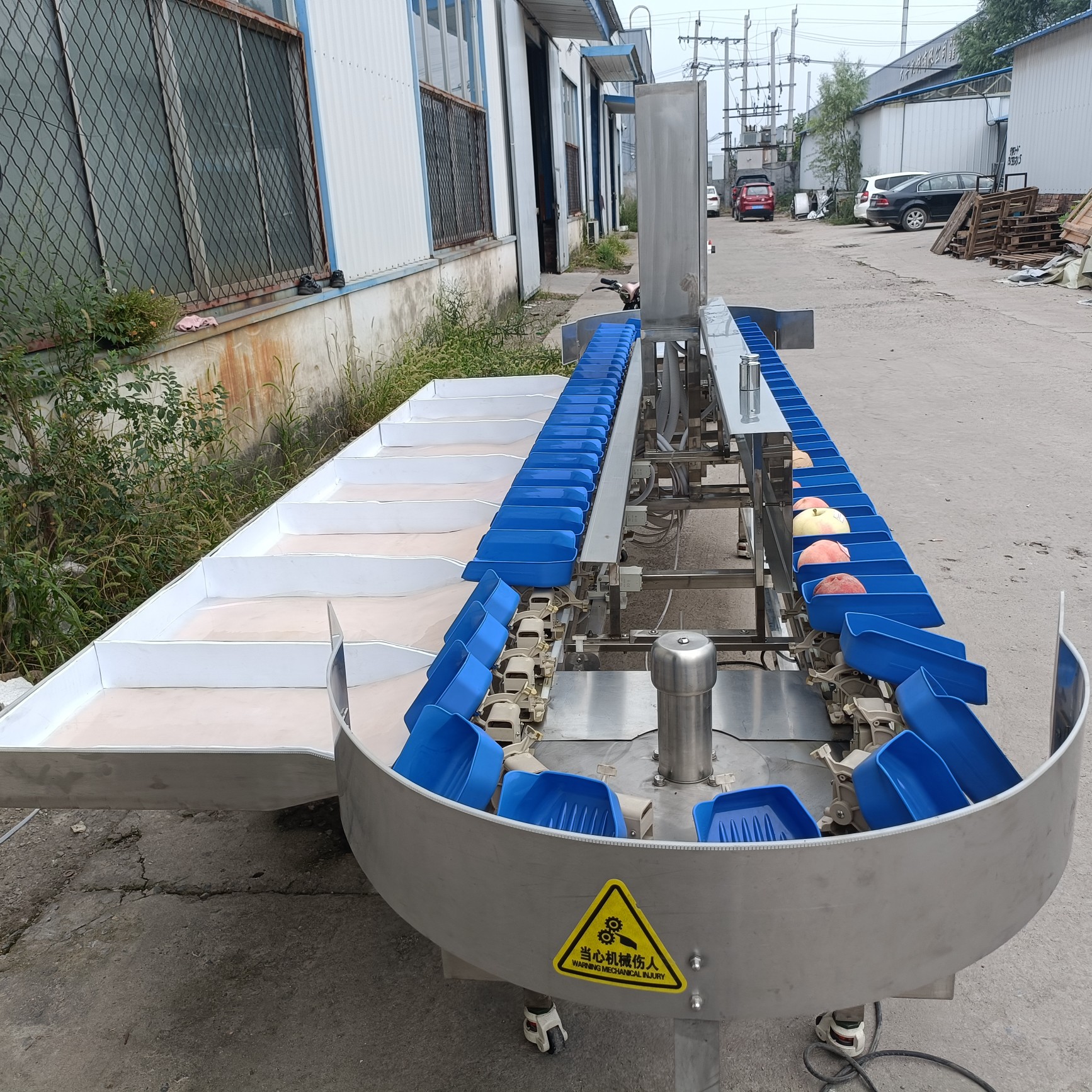 自动选果机 水果重量分级机 定制水果清洗分选包装流水线