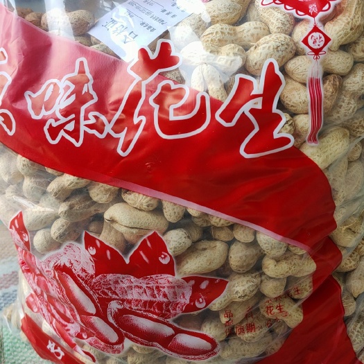 大名县23年新货原味炒花生
