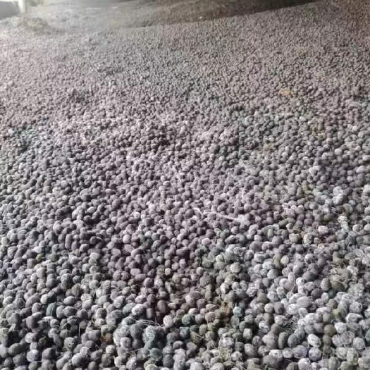 寻甸县羊粪