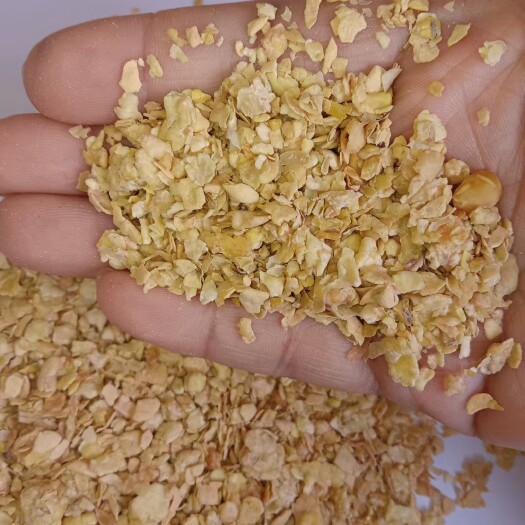 正定县豆粕饲料