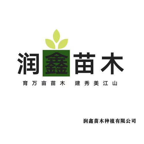 潤(rùn)鑫苗木種植有限公司